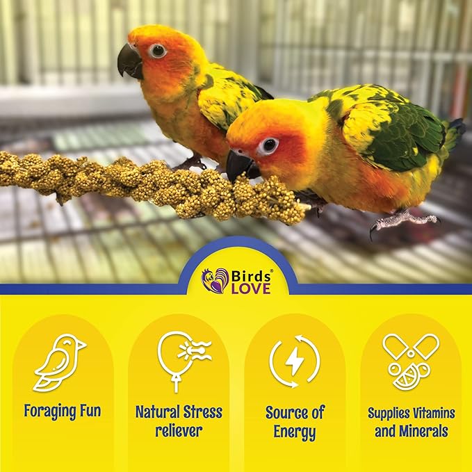 Birds LOVE Economy Special Spray Millet - GMO-Free (No Stems Only Edible Tops) for Birds Cockatiel, Lovebird, Parakeet, Finch, Canary All Parrots Healthy Treat 7oz - Pack of 4