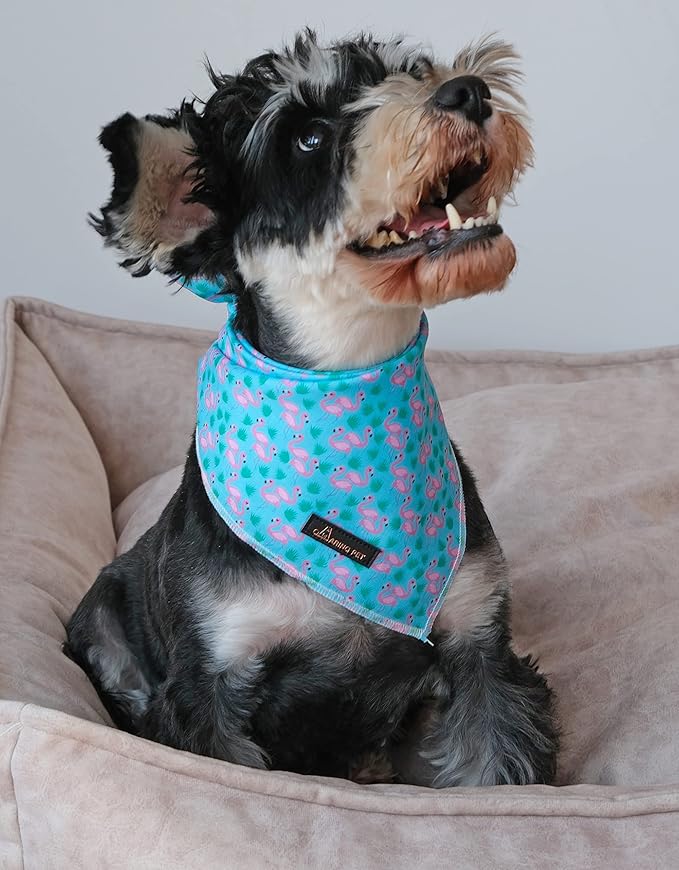 ARING PET Summer Dog Bandanas, Turquoise Flamingo Kerchief Triangle Bibs Scarf for Puppy Small Medium Large Boy Girl Dogs Cats-L