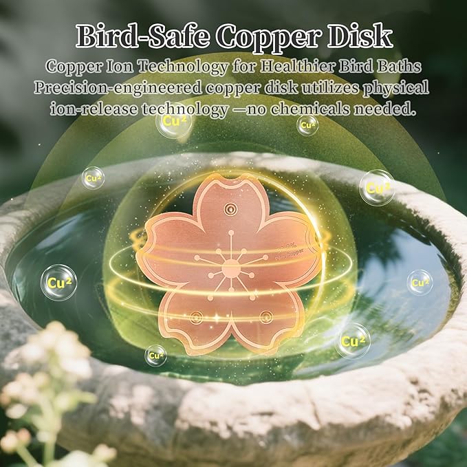 99.99% Pure Copper Bird Bath Disk, Triple-Point Support Design Lower Cleaning Frequency for Physical Safe Water Purify Outdoor Bird Bowls All-Season