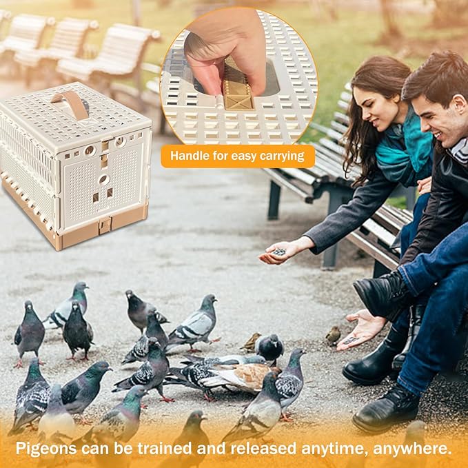 Folding Pigeon Cage Racing Pigeons Travel Cage Pairing Cage Plastic Two Doors Nest Box for Training and Release, Competition(S)