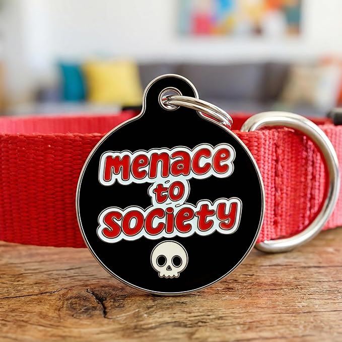 Bad Tags Personalized Dog and Cat ID Tags in 25+ Designs and 2 Sizes - 5 Lines of Custom Engraved Text - Funny Cute Personalized Pet Tags (Menace to Society, Large (1.25 inch))
