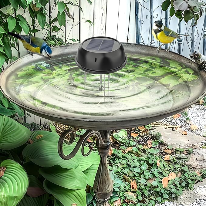 Lewisia Solar Wiggler Water Mover for Bird Bath Solar Powered Birdbath Water Agitator