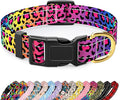 Reflective Dog Collar for Small Dogs Cats, Cute Leopard Style Adjustable Heavy-Duty Nylon Puppy Collar for Boy and Girl Female, Soft Pet Accessories with Quick Release Buckle, Neon