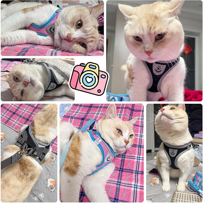 SCENEREAL Cat Harness and Leash Set Escape Proof, Adjustable Soft Air Mesh Kitten Harnesses for Girls Boys Small Medium Big Cats, Reflective Light Travel Pet Walking Vest for Puppy Rabbit, Black L