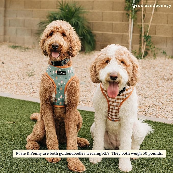 Lucy & Co. Take a Hike Reversible Dog Harness - Best Designer Pet Harnesses for XS - XL Dogs - Padded Adjustable Vest for Easy Walking (X-Small, Neutral Brown Plaid with Blue Trees)