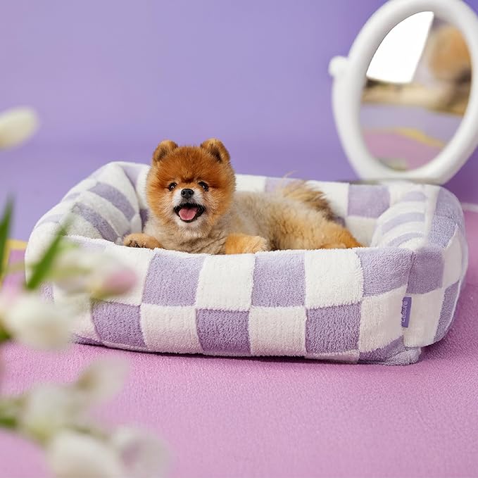 LE SURE Cute Dog Bed for Small Dogs - Washable Puppy Beds,Cozy Rectangle Orthopedic Pet Sofa with Jacquard Shaggy Plush & Anti Slip Bottom,25x21x7inches