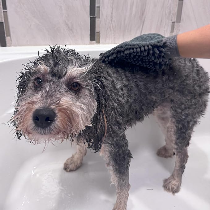 SPOT Clean Paws Chenille Microfiber Dog Towel Mitt - Super Absorbent, Quick-Drying, Washable, Double-Sided Glove for Wet Paws & Body, Durable, Odor-Free, Gently Massages & Dries, 9.5in x 7in