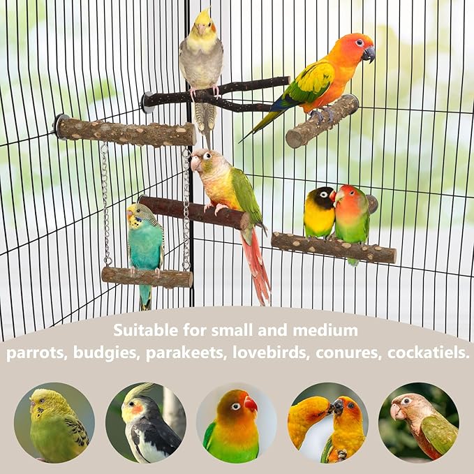 Hypeety Natural Wood Bird Perch for Parakeets 5PCS Perches for Cage Parrot Hanging Swing Bird Fork Perches Easy Install Chew Toys for Small Birds Cockatiels Conures Budgies Lovebirds Parakeets