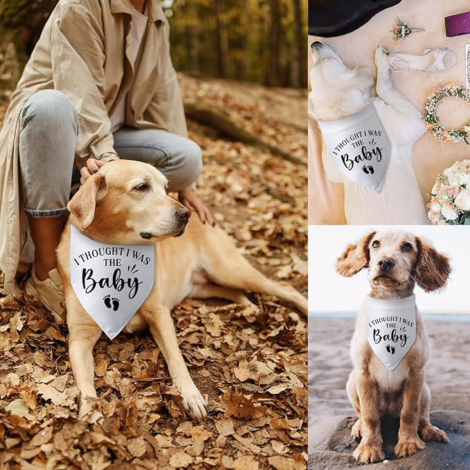 Pregnancy Announcement Dog Bandana I Thought I was The Baby Gender Reveal Dog Baby Coming Soon Announcement Photo Props for Large Medium Small Dogs