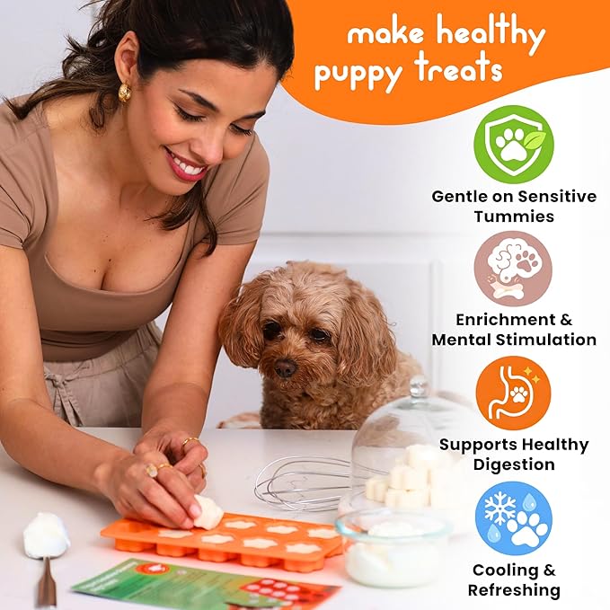 Premium Puppy Starter Kit - New Puppy Gift Basket with Essentials, Toy Box, Treat Tray, Training Supplies, Chew & Squeaky Toys for Puppies and Small Dogs - Complete Dog Must Haves for New Dog Owners