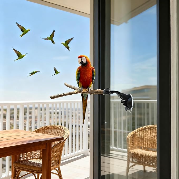 Bird Perch Stand 2 PCS, Parrot Perch Stand with Strong Suction Cup, Movable Perch Stand Bird Training Set, for Window Mirror Shower Bathroom Ceramic Tiles, for Cockatoo, Macaw, Parakeet