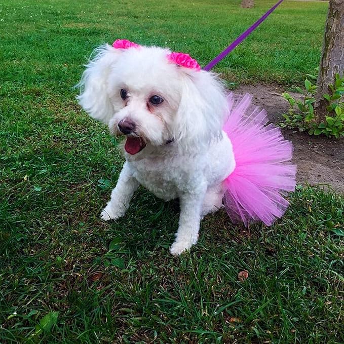 PET SHOW 4Pcs Pink Dog Birthday Hat with 11 (0-9) Numbers Happy Birthday Bandana Dogs Bowties Tutu Dress Set for Small Dogs Cats Puppy Party Wedding Supplies