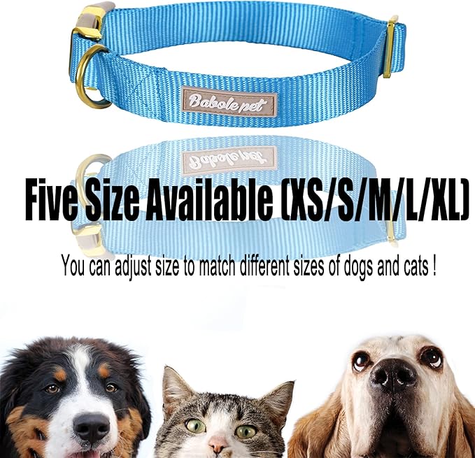 Nylon Dog Collar - Adjustable Blue Soft Webbing Dog Collars for Small Medium Large Dogs Boy Girl Puppy Collar with Safety Metal Buckle S