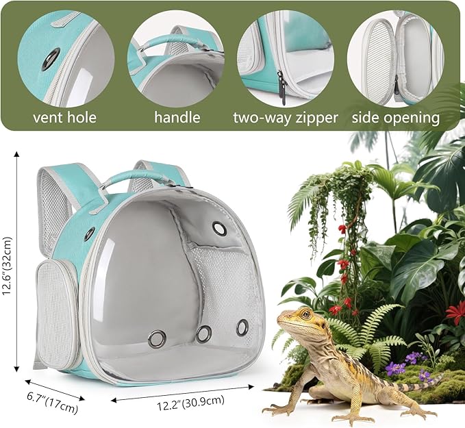 Guinea Pig Backpack Carrier, Bearded Dragon Carrier Backpack with Clear Bubble Window,Small Animal Travel Backpack for Hedgehog Rat，Chameleon,Rabbit,Sugar Glider,Airline Approved (Green, Backpack)