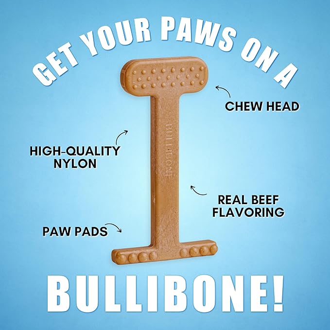 Bullibone Nylon Dog Chew Toy for Aggressive Chewers - Dental Hygiene Bone with Beef Flavor, Durable Tough Chew Toys for Extra Large Dogs, Indestructible Dog Bone - 2 Pack