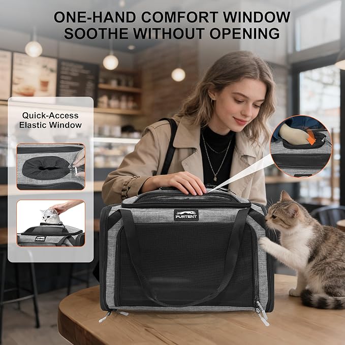 Top and Side Expandable Pet Carriers, 16x11x11 Airline Approved Soft-Sided Cat Carrier for Small Dogs and Cats, in-Cabin Travel Carrier with Anti-Scratch Mesh, Grey