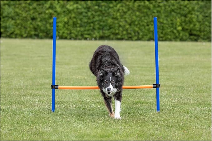 TRIXIE Agility Hurdle Adjustable Dog Jump, Ideal for Beginners & Advanced, Dog Obstacle Course Equipment 1 x Hurdle