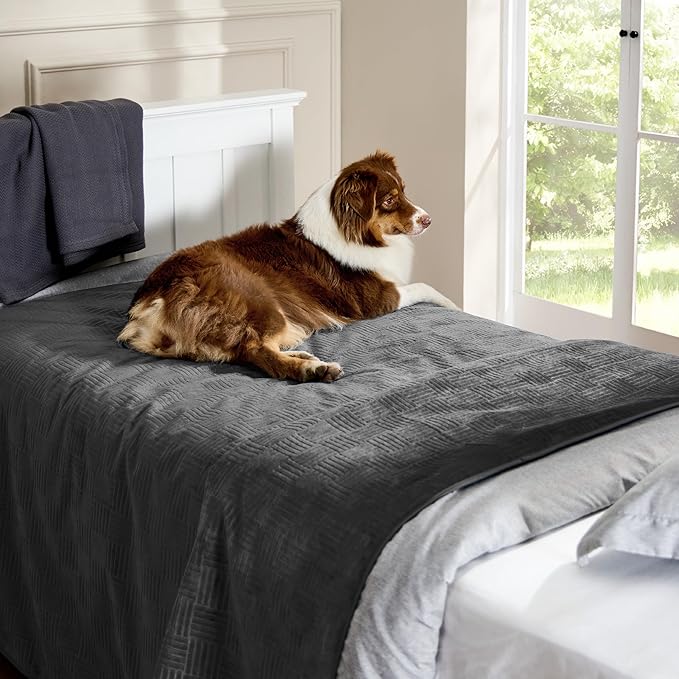 Bedsure Waterproof Couch Cover for Dogs Washable - Waterproof Blanket for Large Dogs Couch Sofa Bed Cozy, Lightweight Furniture Protector for Pet Cat Quick Drying, Charcoal, 52x82IN