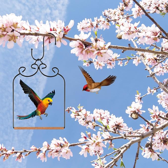 2 Pack Hummingbird Swings and Perches, Metal Frame Bird Swing with 2 Replacement Wooden Dowels and Iron S Hooks, Black Bird Swing for Hanging Indoor, Outdoor, Trunk, Lawn, Patio, Garden(Black)