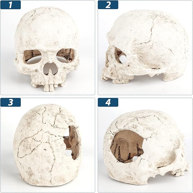 Uniclife Aquarium Skull Reptile House Decor Resin Head Skeleton Ornament for Tank Landscape Decorative Hideout Cave Shelter for Small Fish Shrimp Snail Gecko Spider Lizard in 5-20 Gallon Fish Tank