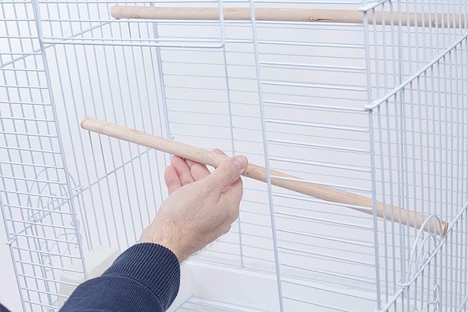 PENN-PLAX Cockatiel & Small Parrot Starter Kit with Birdcage, Cover, and Accessories – Perfect for Cockatiels, Conures, and Small Parrots – Square Dome – White