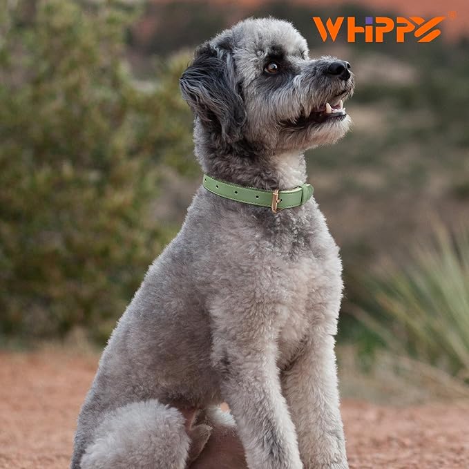 WHIPPY Leather Dog Collar for Small Medium Large Dog Adjustable Soft Breathable Leather Padded Puppy Collar with Alloy Buckle Heavy Duty Waterproof Classic Dog Pet Collar,Green