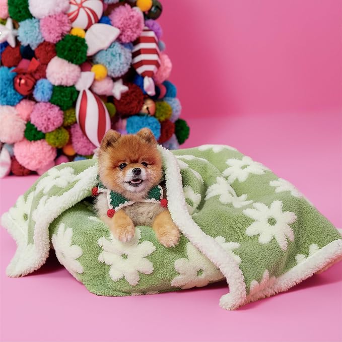 LE SURE Waterproof Puppy Blanket for Small Dogs - Washable Double Sided Dog Blankets with Warm Jacquard Shag and Soft Sherpa Fleece, Pet Cat Blanket for Couch Protection, 3D Textured Cloud, Green