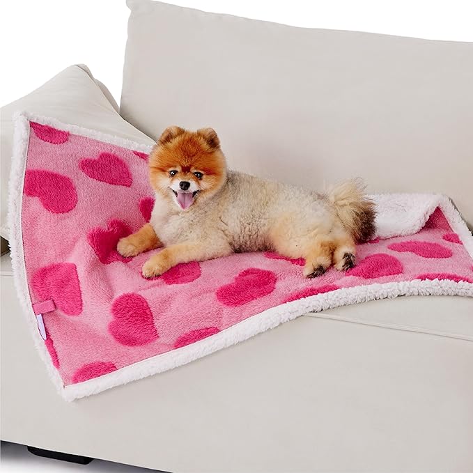 LE SURE Waterproof Puppy Blanket for Small Dogs - Washable Double Sided Dog Blankets Valentine's Day Gift with Warm Soft Sherpa Fleece, Pet Cat Blanket for Couch Protection, Lover Hearts