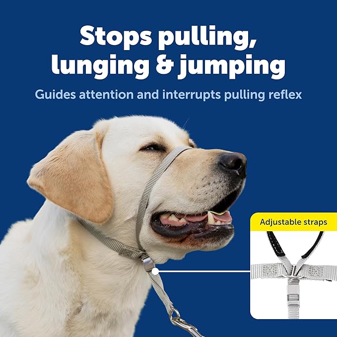 PetSafe Gentle Leader No-Pull Dog Headcollar - The Ultimate Solution to Pulling - Redirects Your Dog's Pulling for Easier Walks - Helps You Regain Control - Small, Apple Green