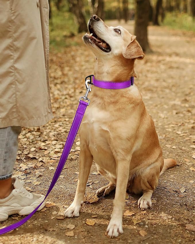 TagME Reflective Nylon Dog Collars, Adjustable Classic Pet Collar with Quick Release Buckle for Large Dogs, Purple, 1.0" Width