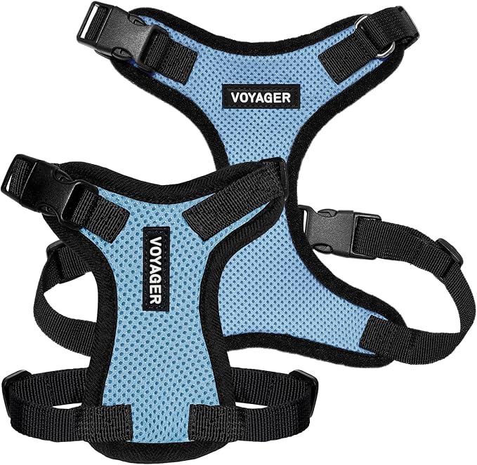 Voyager Step-in Pet Harness - All Weather Mesh, Adjustable Step in Harness for Cats and Dogs by Best Pet Supplies - Baby Blue/Black Trim, M