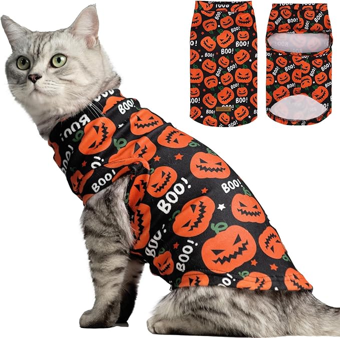 EXPAWLORER Cat Halloween Sweater - Sweaters for Cats Only Soft Warm Pet Clothes, Fall and Winter Pumpkin Coat Pullover Design, Fleece Sweatshirt Clothing Also for Puppy Small Dogs, Medium