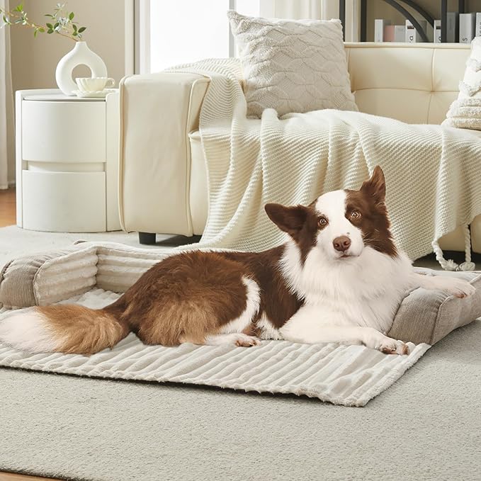 WINDRACING Luxury Dog Couch Bed, Washable Calming Dog Couch Cover, Couch Protector for Dogs, Waterproof Sofa Bed, Pet Bed Mats for Sofa, Pet Sofa Covers （Beige M:35"X31"X4.5"