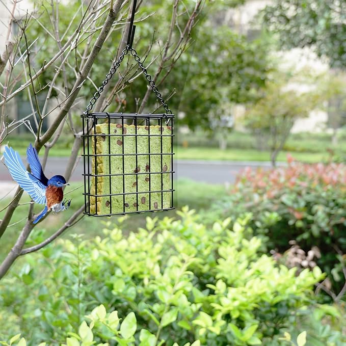 2Pcs Outdoor Suet Cage Bird Feeder, Wild Bird Feeder, Single Suet Cake Capacity, Fruit and Suet Feeder Style for Outside Hanging(Black)