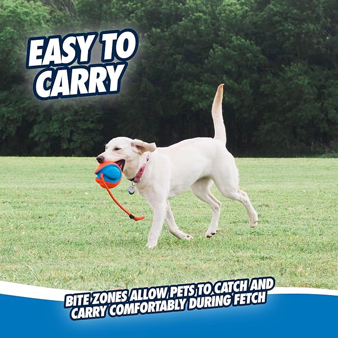 Chuckit! Rope Fetch Dog Toy - Ball on Rope Fetch and Tug-of-War Toy for Dogs - Durable EVA Rubber Construction - 5.5-inch Diameter - 18-inch Rope - Orange and Blue
