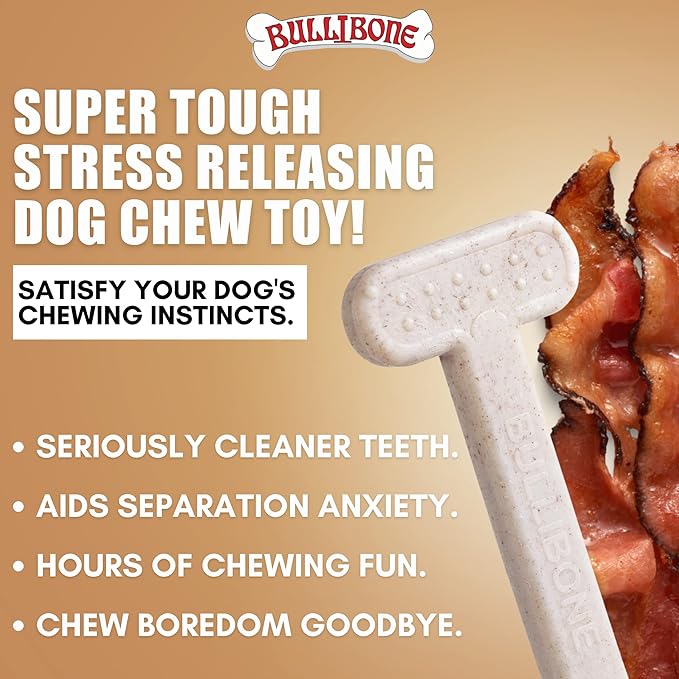 Bullibone Nylon Dog Chew Toy for Aggressive Chewers - Dental Hygiene Bone with Bacon Flavor, Durable Tough Chew Toys for Large Dogs, Indestructible Dog Bone - 2 Pack