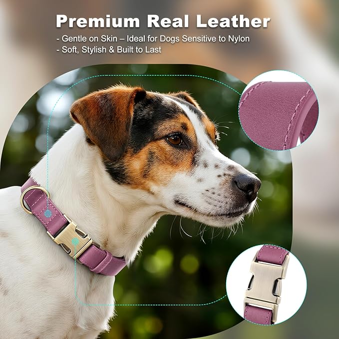 Plutus Pet Genuine Leather Dog Collar – Adjustable Pet Collar with Quick Release Metal Buckle, Soft Real Leather for Small Medium Large Dogs, Heavy Duty & Skin-Friendly (Purple, S)