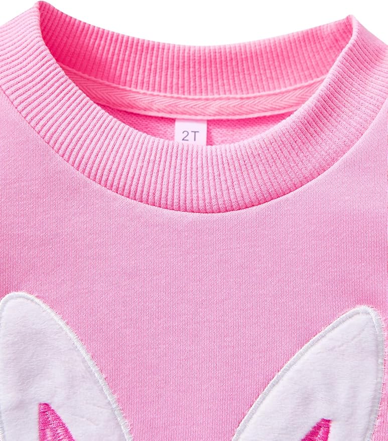 Toddler Baby Girls Cotton Sweater, Long Sleeve Crewneck Sweatshirt Pullover Kids Warm Clothing for Fall Winter