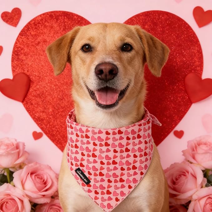 ARING PET Valentine Dog Bandana, Cute Pink Red Pink Pet Bandanas Scarf Triangle Bibs Handkerchief for Puppy Small Medium Large Boy Girl Dogs-S