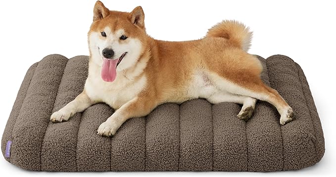LE SURE Cute Orthopedic Dog Bed Medium Size Dog, Waterproof Chic Flat Pet Beds with Removable Washable Cover, Fuzzy Thick Egg Crate Foam Pet Mat for Indoor Use (30" x 20", Brown)