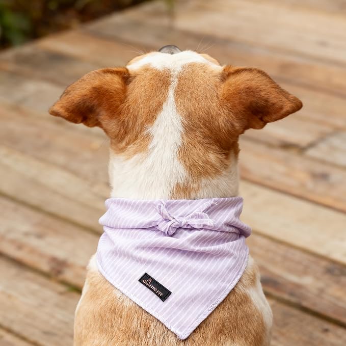 ARING PET Summer Dog Bandana-Cute Lavender Dog Bandanas, Comfortable Pet Scarf Dogs Triangle Bibs for Small to Large Girl Dogs and Cats