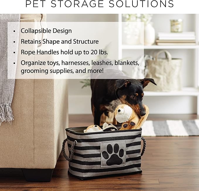 Bone Dry Pet Storage Collection Lattice Paw Print, Aqua, Medium Rectangle