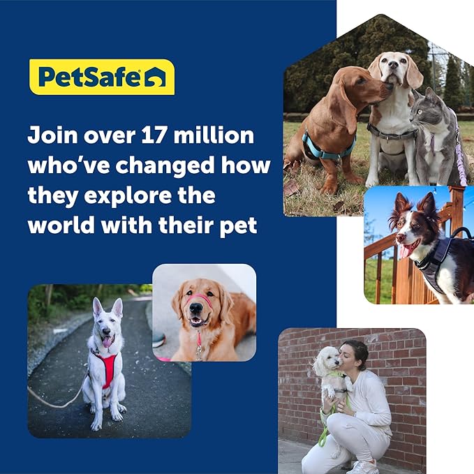 PetSafe Gentle Leader Headcollar No-Pull Dog Collar - Helps Improve Walks - Durable Nylon Construction - Padded Nose Loop - Adjustable Fit - Comfort Walking Halter - Medium,Charcoal,(Pack of 6)
