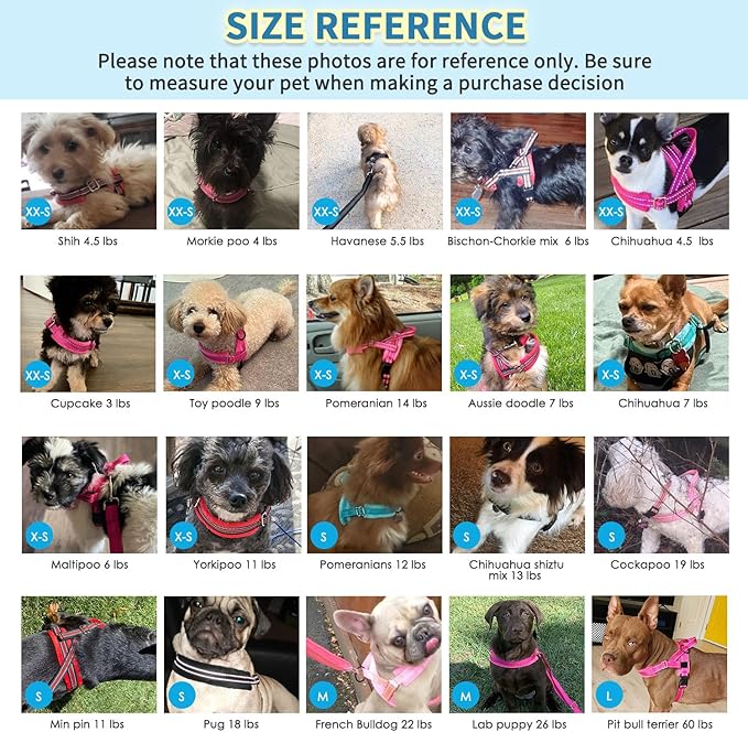 SlowTon No Pull Small Dog Harness and Leash Set, Puppy Soft Vest Harness Neck & Chest Adjustable, Reflective Lightweight Harness & Anti-Twist Pet Lead Combo for Small Medium Dogs (BL-Front Clip,XS)