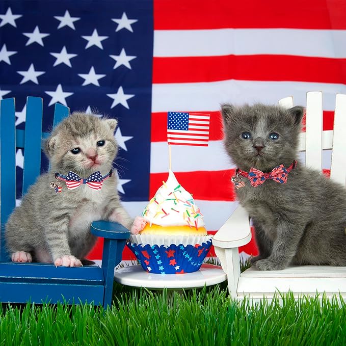 ADOGGYGO American Flag Cat Collars with Bow Bell, Breakaway Pet Bowtie Collar Red Blue Star Flag 4th of July Collars for Girl Boy Cats Kittens