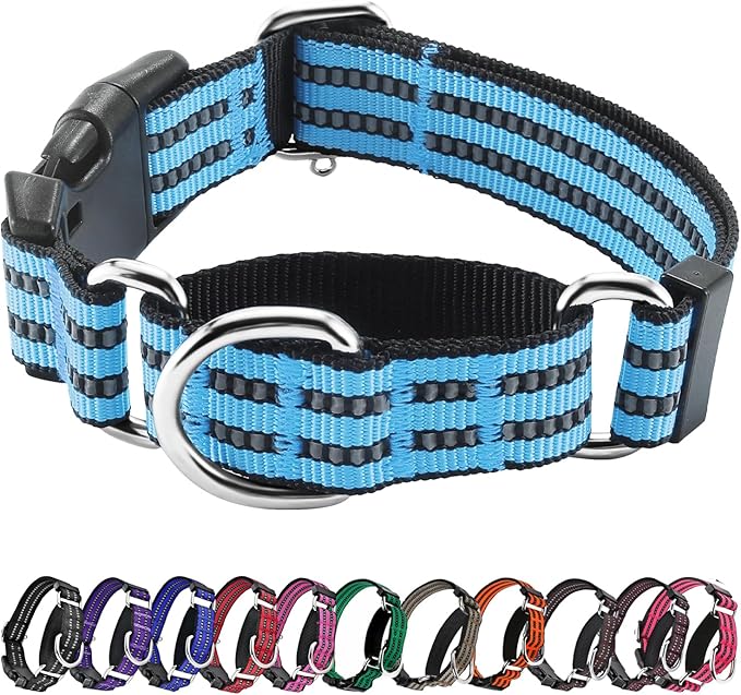 Hikiko Martingale Dog Collars Reflective Nylon Dog Collar with Quick Release Buckle Adjustable Training No Slip Dog Collar (Small, Light Blue)