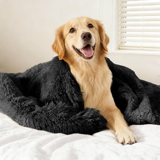 gogobunny Waterproof Dog Blanket for Couch & Furniture Protection - Super Soft Reversible Throw for Large Dogs & Cats, Calming Washable Fur & Sherpa Pet Blanket (50x60 Inch, Black)