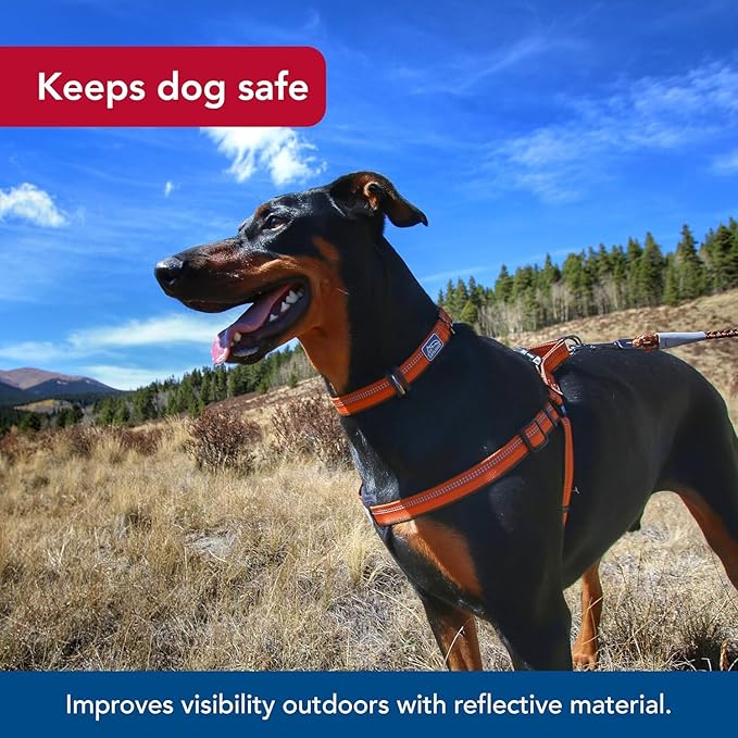 Coastal Pet K9 Explorer Reflective Adjustable Padded Dog Harness - Plush Chest Pad for Comfort - No-Pull Dog Harness for Small and Large Dogs - Campfire Orange - 5/8" x 12"-18", X-Small