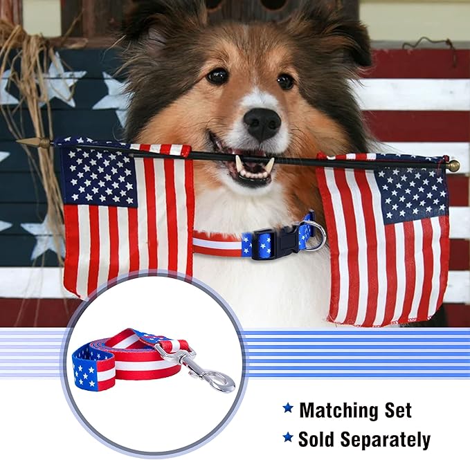 Native Pup American Flag Dog Collar- Red White and Blue- Patriotic Collars for 4th of July, USA- Adjustable Small, Medium, Large Breed Dogs (Large, Flag I)