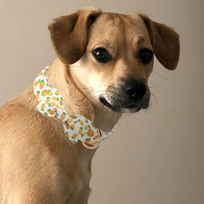 Easter Dog Collar with Bowtie, Cute Carrot Easter Dog Collar with Metal Buckle,Adjustable Soft Pet Collar for Small Medium Large Dogs